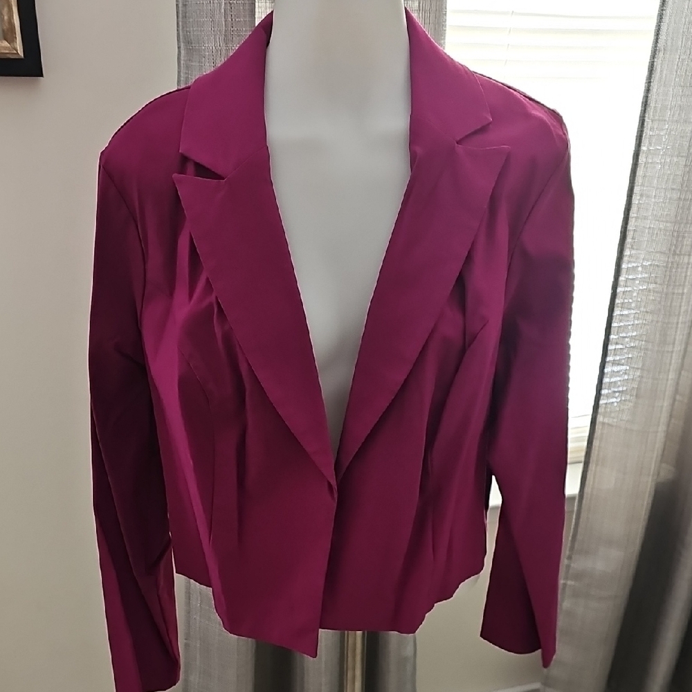 Ashley Stewart Fuchsia Blazer